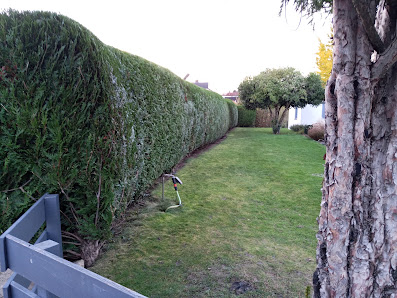 Ramadani Garten & Landschaftspflege