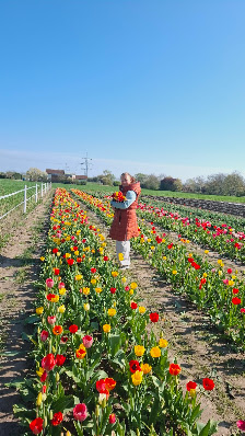Blumen selber schneiden