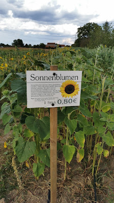 Blumen selber schneiden
