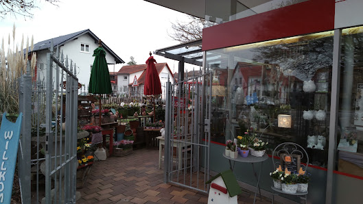 Blumen, Floristik, Cafe und Feinkostgeschäft Mango