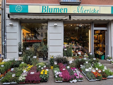 Blumen und Pflanzen