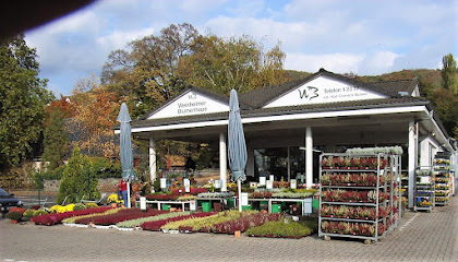 Weinheimer Blumenhaus