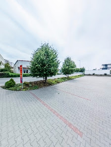 Baumschule Pflanzenparadies Inh. Moritz Kießling