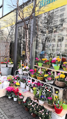 T & H Blumen & Pflanzen