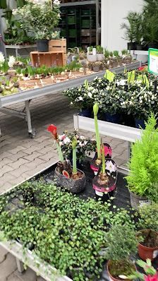 Dehner Garten-Center