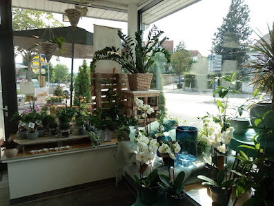 Das Blumenhaus Böblingen