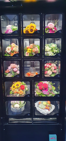 Blumenautomat BlumOHmat! Das Blumenleben