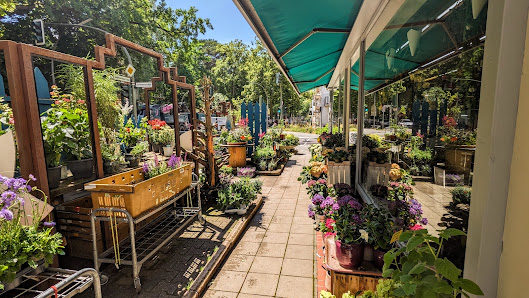 Blumen Korthaus