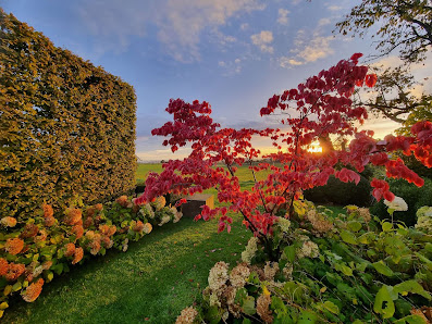 Frank Dahl Gartenkontor GmbH