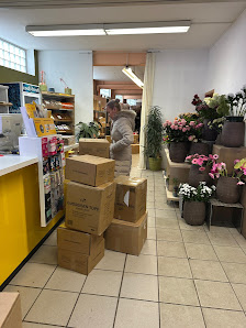 Blumen Flora