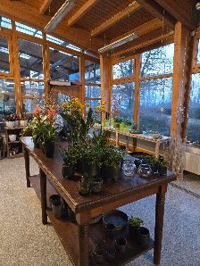 BLUMEN OSSWALD