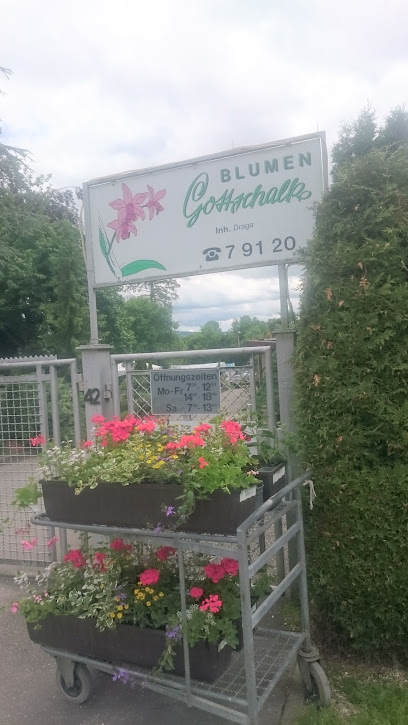Blumen Gottschalk
