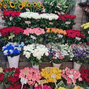 Blumen Jaeck / am S-Bhf. Wittenau