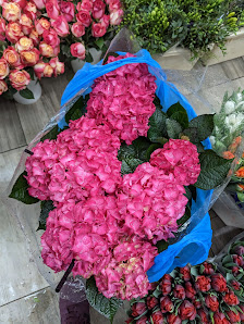 Blumen Jaeck / am S-Bhf. Wittenau