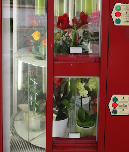 Gärtnerei Mohring