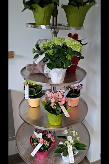 Blumen-Liebe non-stop by Wenzelburger