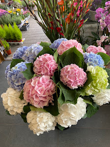 Blumenladen