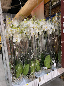 Blumenladen