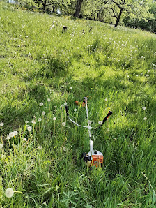 Mos Garten und Landschaftspflege