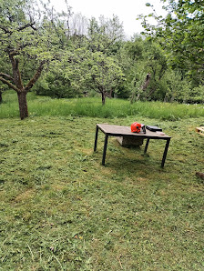 Mos Garten und Landschaftspflege