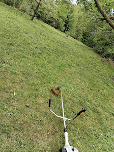 Mos Garten und Landschaftspflege