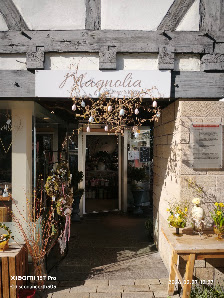 Magnolia Blumen & Kaffee