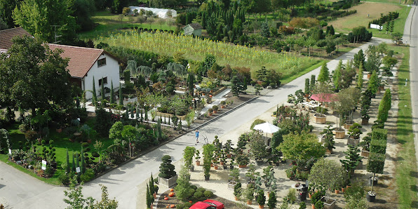 Bernd Hiller, Pflanzenverkauf & Garten- u. Landschaftsbau