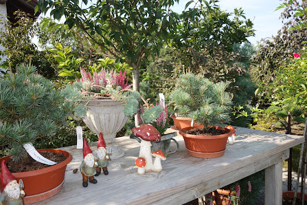 Bernd Hiller, Pflanzenverkauf & Garten- u. Landschaftsbau
