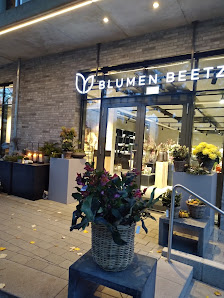 Blumen Beetz