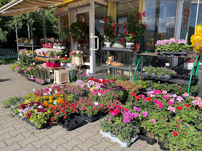 Blumen-Eck