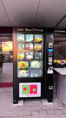 Frisch vom Florist Benjamin Ortmayr