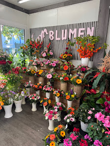 Sam Blumengarten ( Blumenladen )
