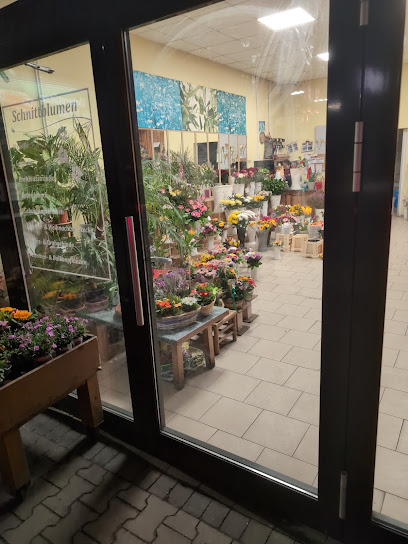 Blumen und Pflanzen