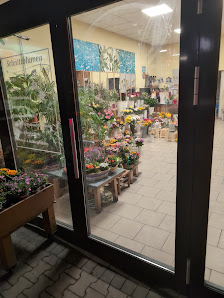 Blumen und Pflanzen