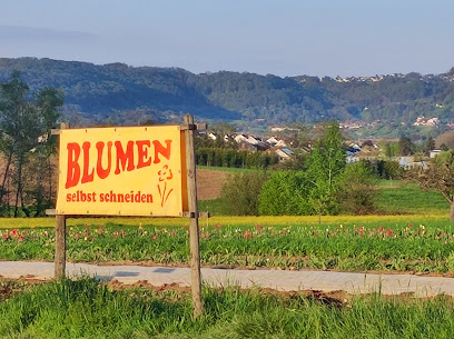 Blumen zum selberschneiden L1080