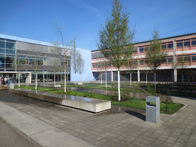 Alexander Weller Garten- und Landschaftsbau