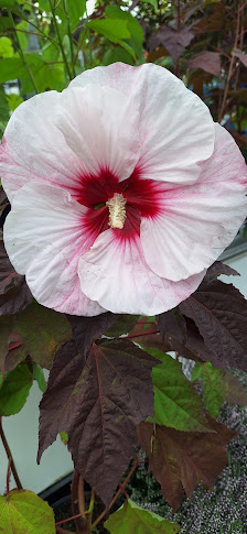 Mauk Gartenwelt Balingen
