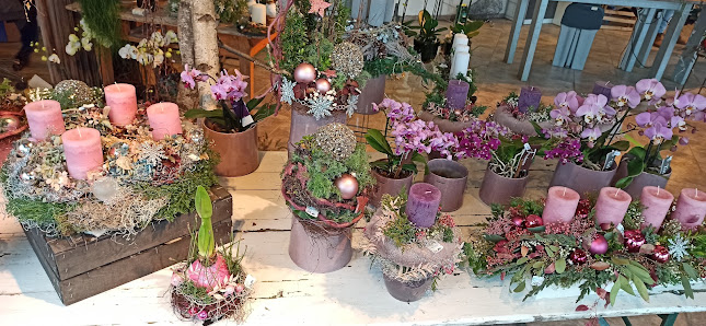 Blumen-Lutz Ehingen