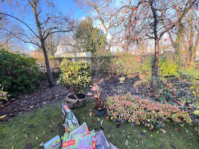 Kamals Gartenpflege