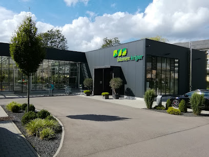 Krigar Blumen Inh.: Doster