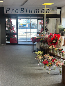 ProBlumen