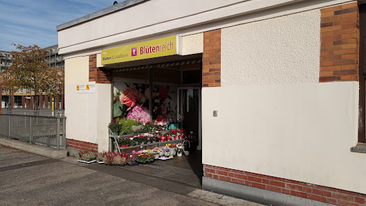 Blütenreich Blumen & Grünpflanzen