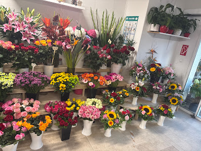 Blumenladen und Paketdienst- Änderrungsschneiderrei und Vollreinigung