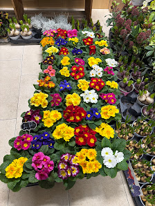 Blumenladen und Paketdienst- Änderrungsschneiderrei und Vollreinigung