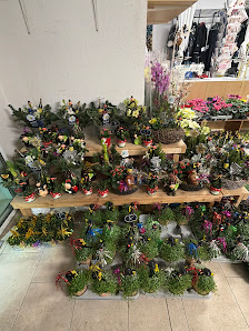 Blumenladen und Paketdienst- Änderrungsschneiderrei und Vollreinigung