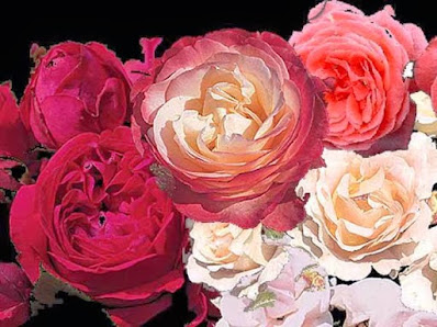 Rosen Waizenegger