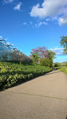 Naturstyle Gärtnerei