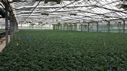 Fleischle Gartenbau GbR