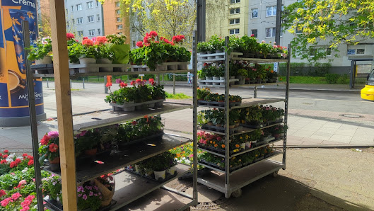 Blumenladen Quy