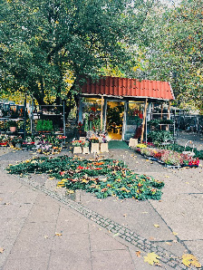 Blumenladen Quy